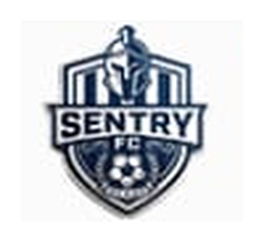 Esentry FC logo
