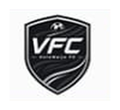 Votenaija FC logo